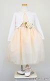 ピアノ発表会や結婚式にぴったりのカラーの女の子用キッズドレス。シンプルで美しいシルエットが魅力のAngel's Closetの子供ドレス レンタル商品（【レンタル】サテンリボン＆スターダストチュール子供ドレス(CK329)タープ）｜画像9